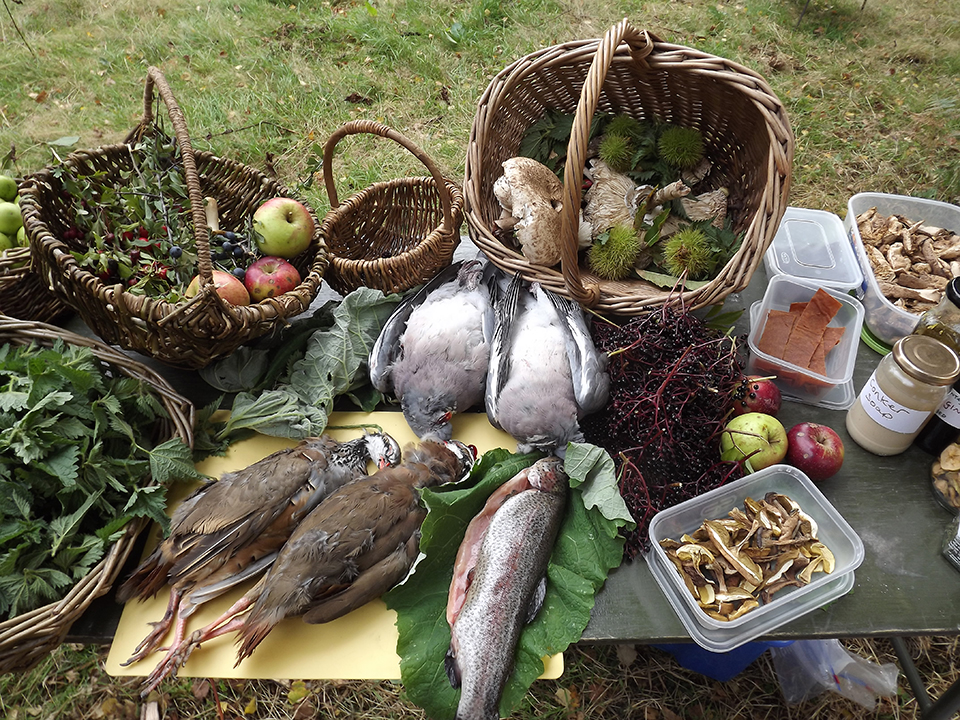 Wild Food Cookery Day